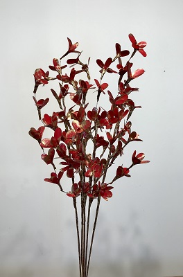 5 Palm Lily Red/Gold Bunch 